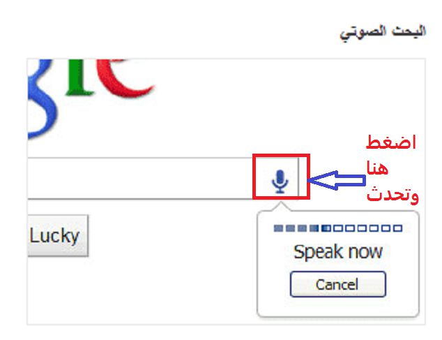 Voice Search